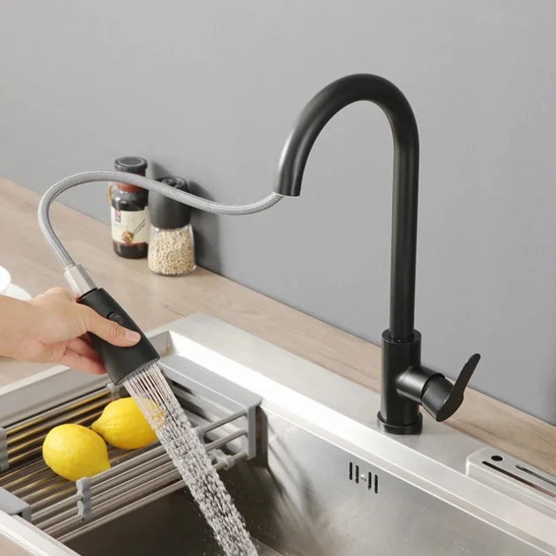 Robinet Cuisine - FlexiPro Noir