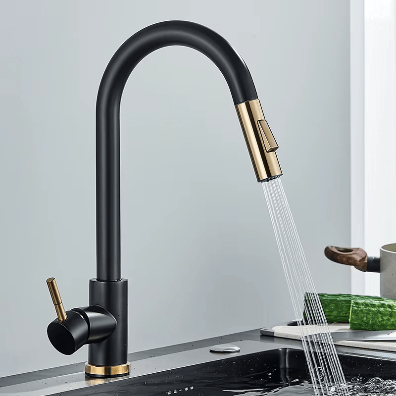 Robinet Cuisine - Luxe Fonctionnel Noir