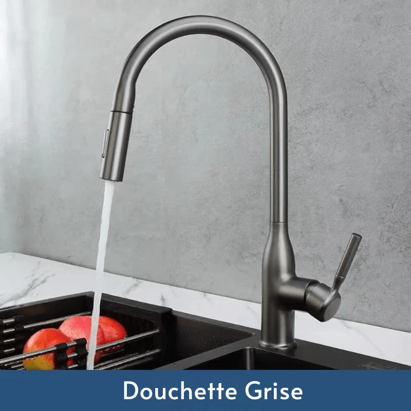 Robinet Cuisine - Zenith Argent Argent / G3/8