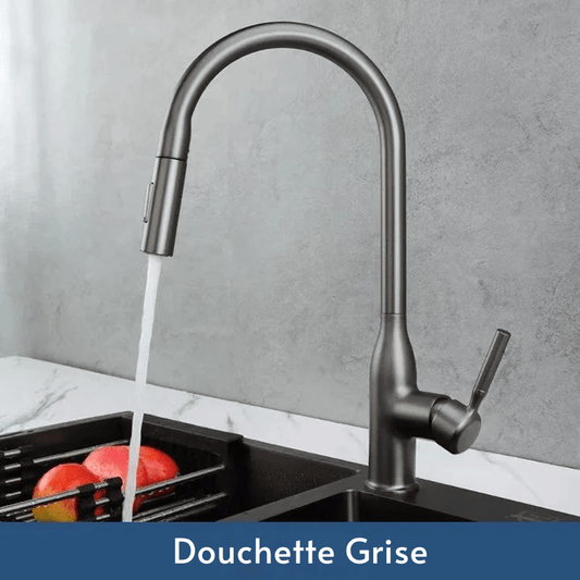 Robinet Cuisine - Zenith Argent Argent / G3/8