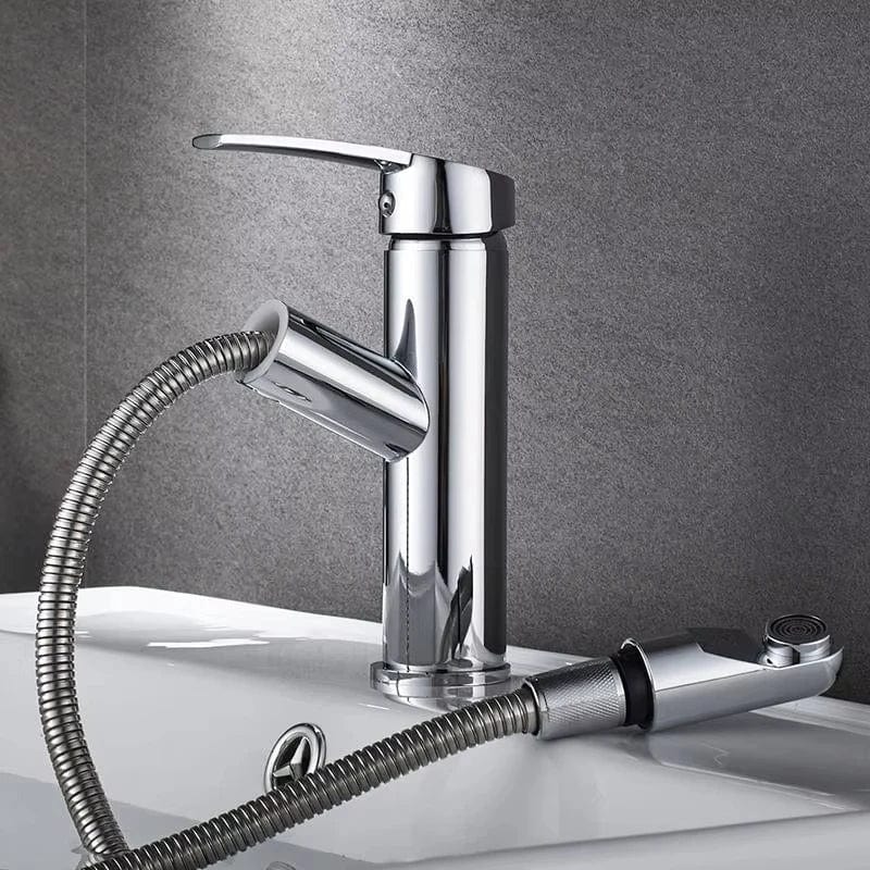 Robinet Salle de Bain - FlexiJet Premium Argent