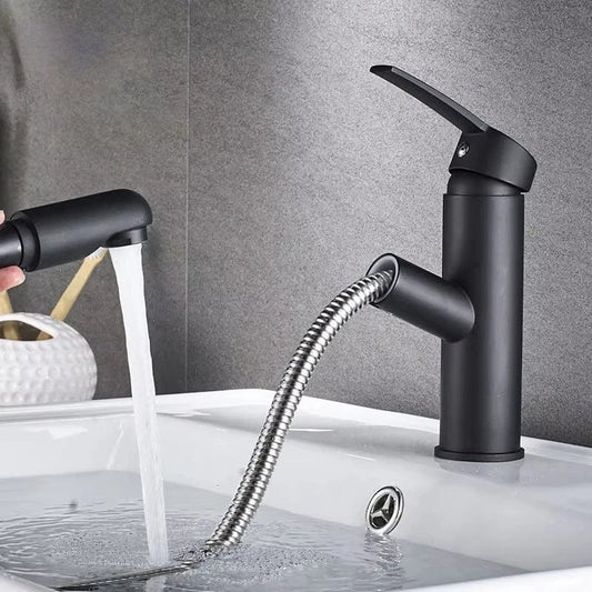 Robinet Salle de Bain - FlexiJet Premium Noir