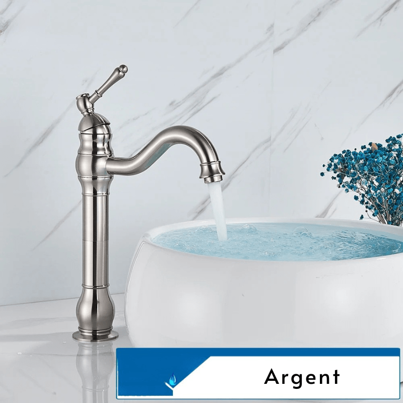 Robinet Salle de Bain - Vintage Grand Argent